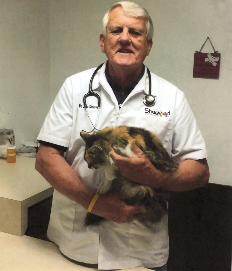 Our Veterinarian Team In Orange, TX | Cypress Animal Clinic