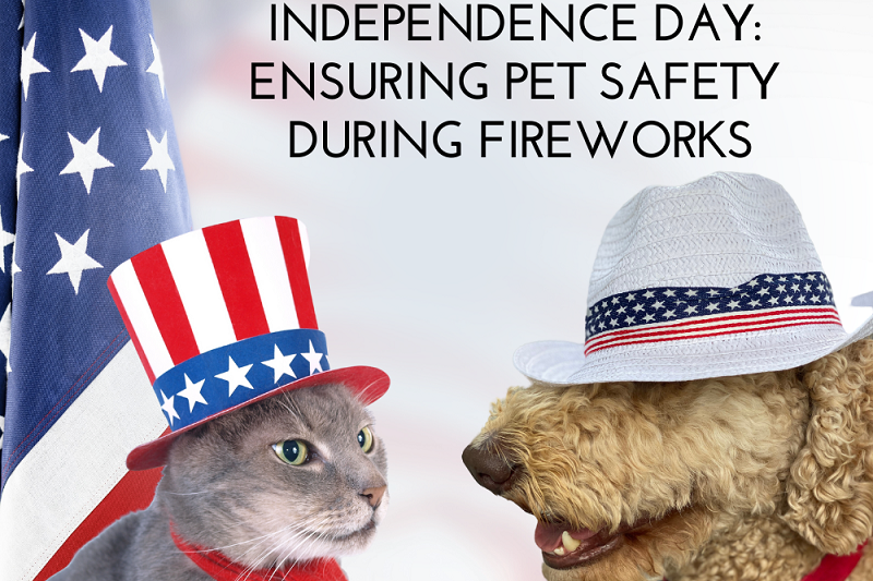 Preparing Your Pets for Independence Day Ensuring Pet Safety During Fireworks